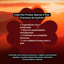 Creme Facial Luxuoso de Açafrão – Rejuvenescimento e Firmeza