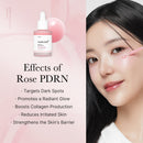 Kit Plump Perfection Exclusive - brazilcosmeticos.com