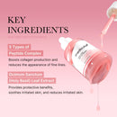 Kit Plump Perfection Exclusive - brazilcosmeticos.com